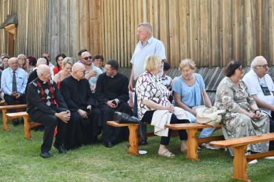 przegladDSC_2206.JPG