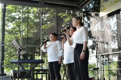 przegladDSC_2465.JPG